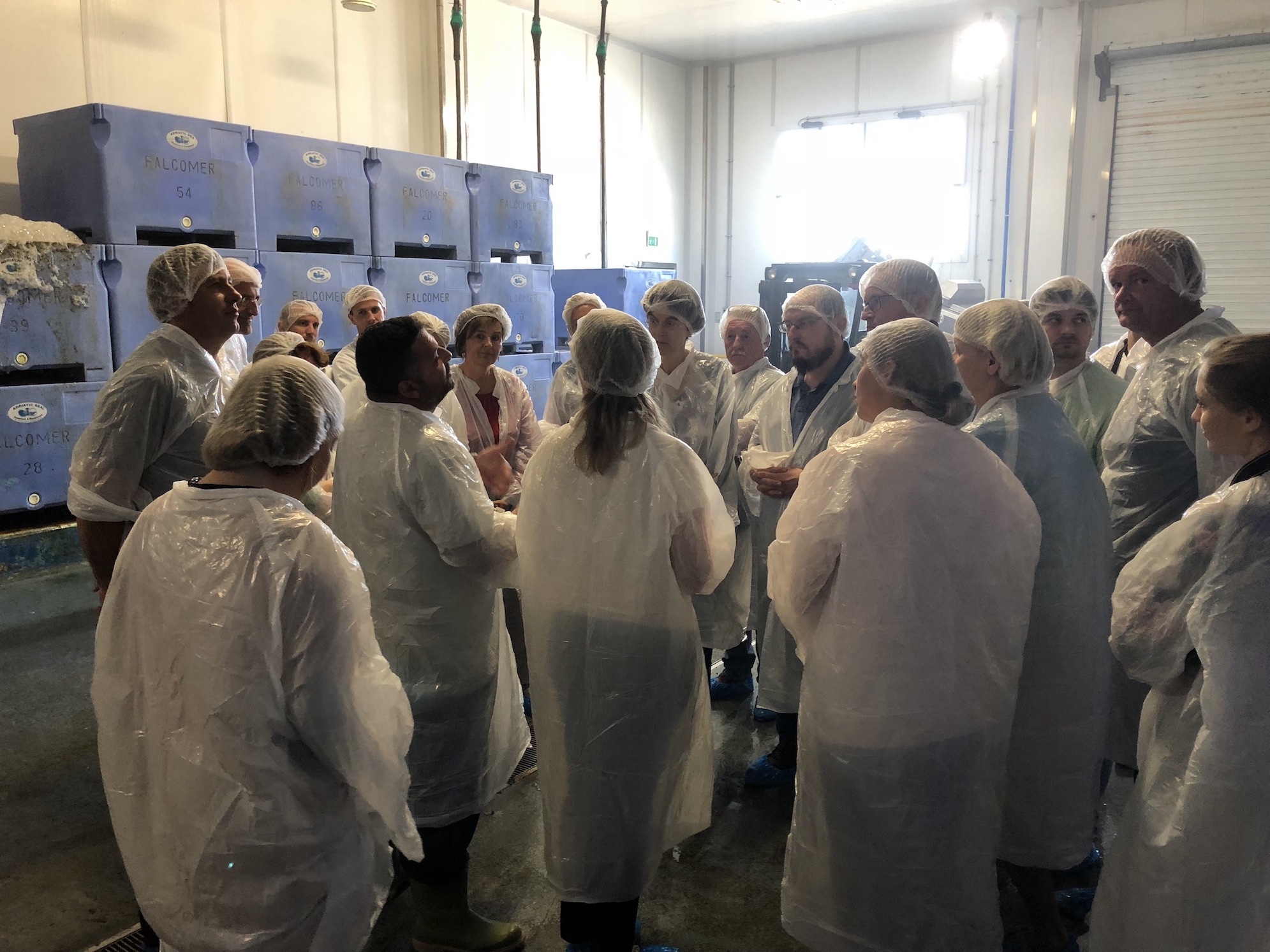 Filiera dei molluschi bivalvi made in Fvg modello da esportare