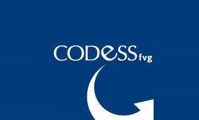 Pubblicato il  Bilancio Sociale 2019 della cooperativa  Codess FVG