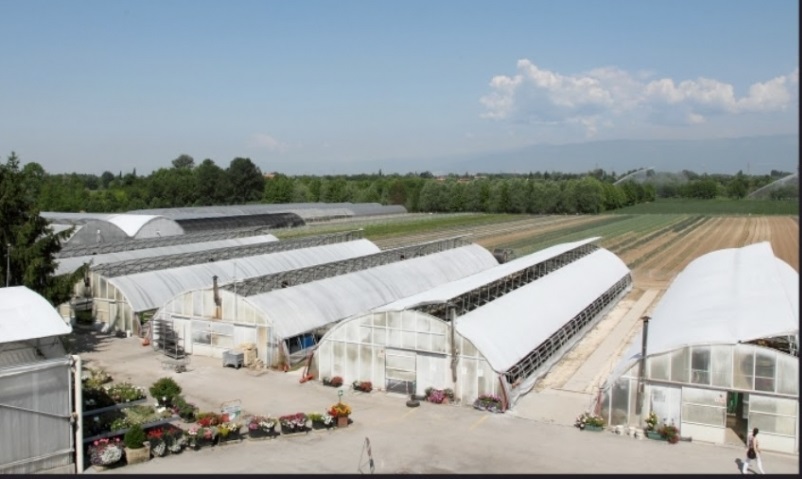 Sostegno regionale alla Coop Il Seme di Fiume Veneto, accolta la proposta di Legacoopsociali Fvg