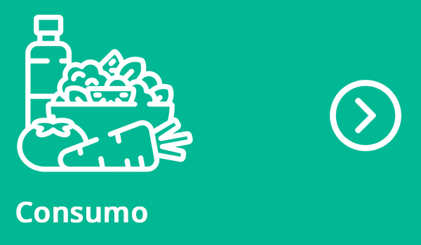 Consumo