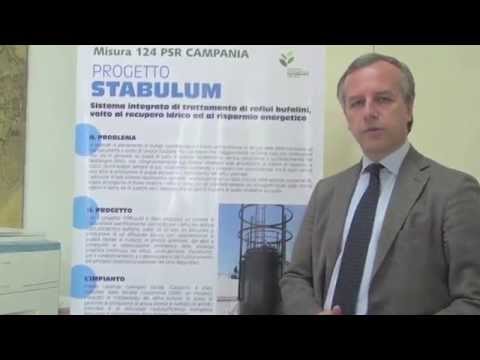 Legacoop > STABULUM, l&rsquo;innovazione tecnologica che fa bene all&rsquo;ambiente