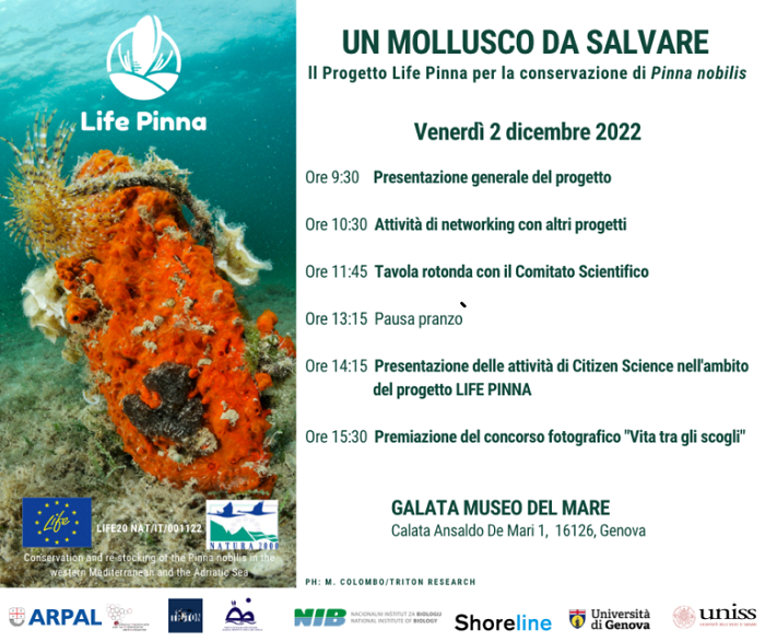 UN MOLLUSCO DA SALVARE