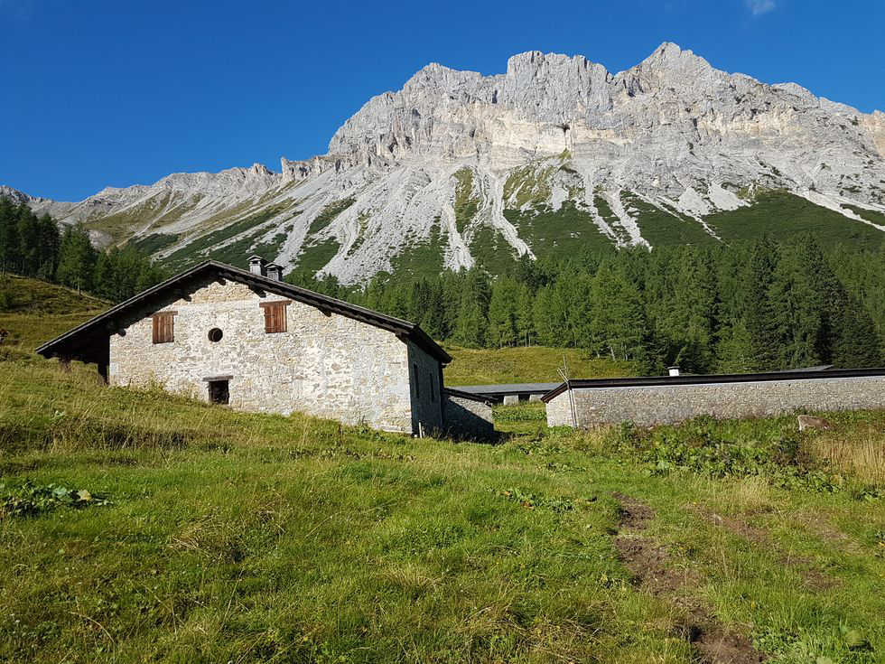 Legacoop Fvg sostiene il Master in Innovazione dei sistemi agrosilvopastorali della montagna