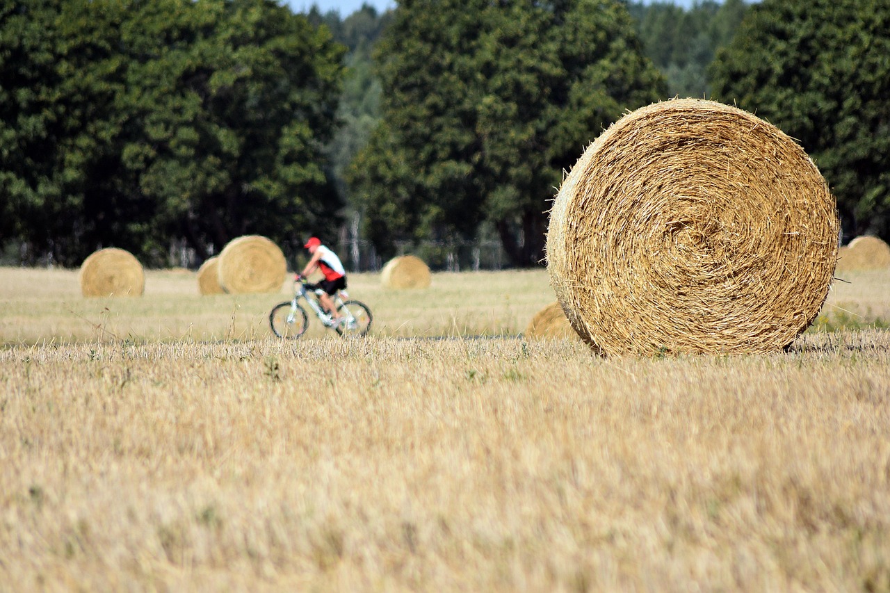 Agricoltura, paesaggio e turismo: a Fiumicello un incontro per unire sviluppo e comunità