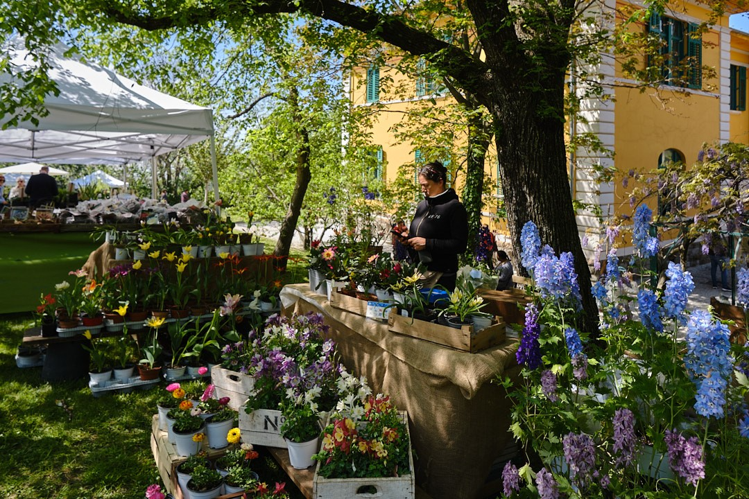 Horti Tergestini compie 20 anni: il 18 e 19 aprile tanti occasioni d’incontro tra natura e cultura
